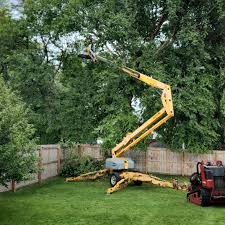 Best Tree Health Inspection  in Calverton Park, MO