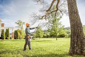 Calverton Park, MO  Tree Services Company