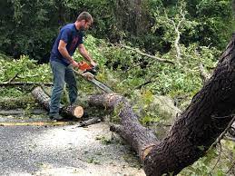 Best Leaf Removal  in Calverton Park, MO